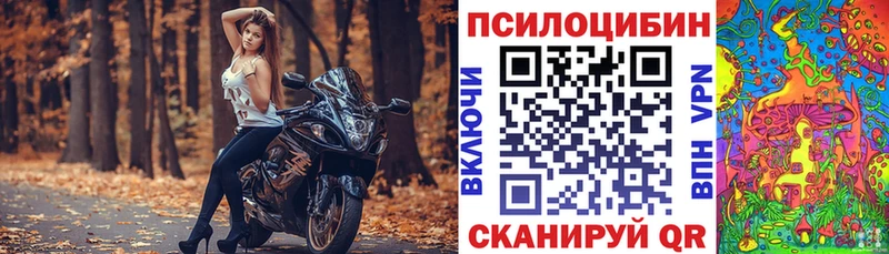 Псилоцибиновые грибы мицелий  Купить где  Ахтубинск 